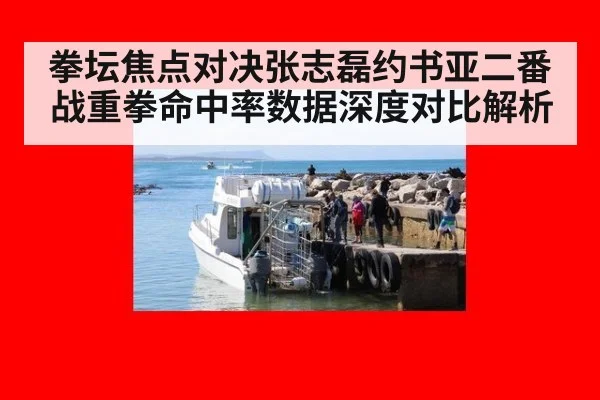 拳坛焦点对决张志磊约书亚二番战重拳命中率数据深度对比解析